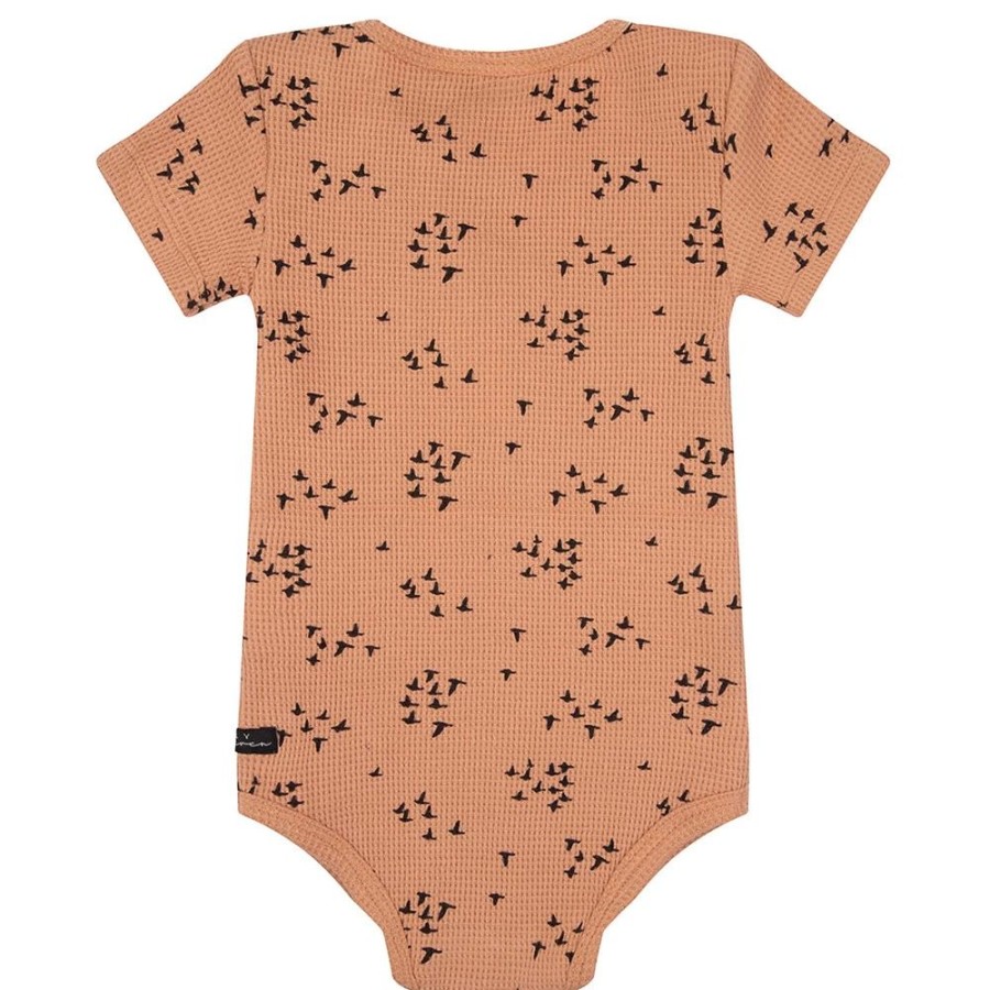 Baby Daily7 | Daily7 Meisjes Romper D7Ng-S22-7031 Bruin