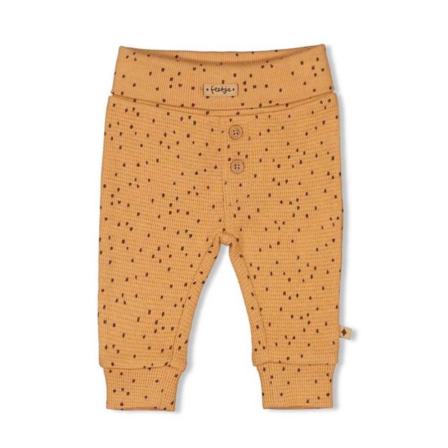 Baby Feetje | Feetje Broek Tiny Roar