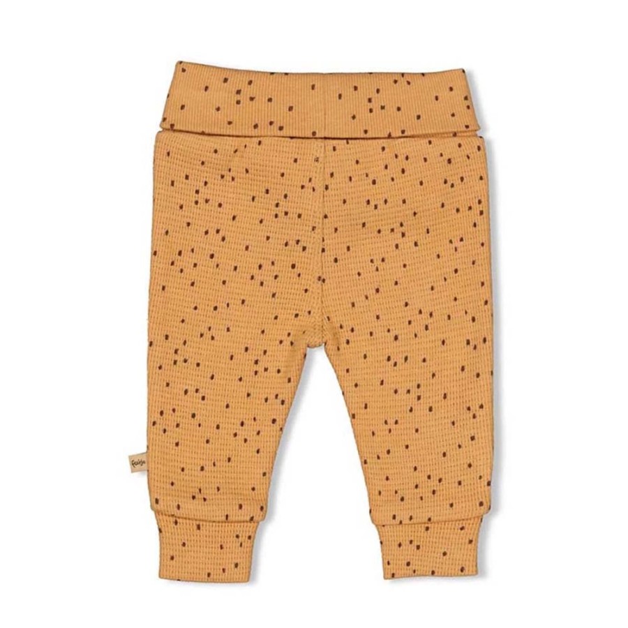 Baby Feetje | Feetje Broek Tiny Roar