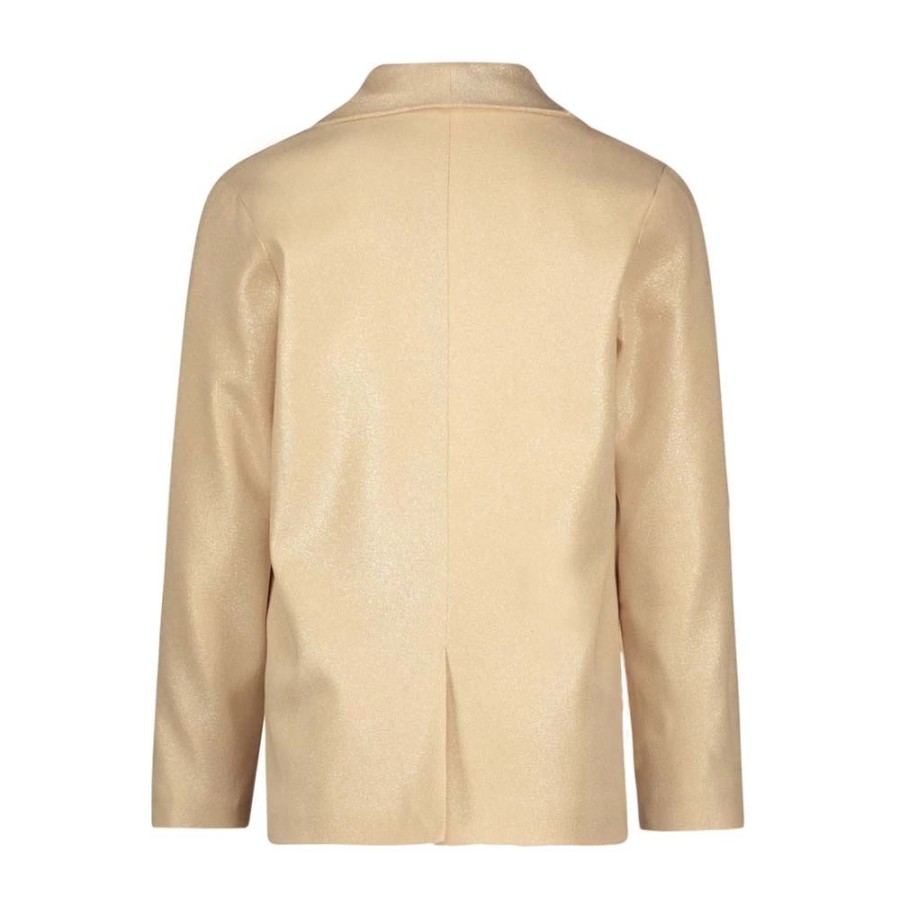 Meisjes Like Flo | Like Flo Meisjes Metallic Blazer