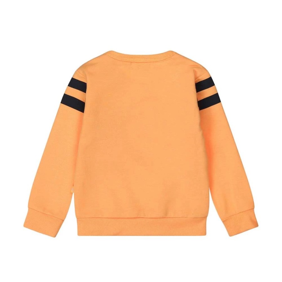 Baby Dirkje | Dirkje Jongens Sweater